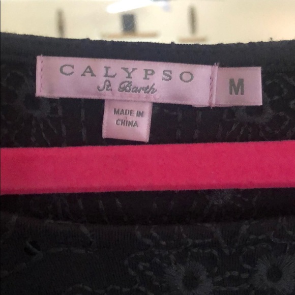 Calypsos St. Barth Dress - Picture 2 of 3